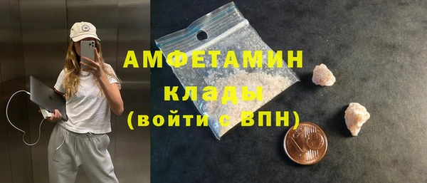 PSILOCYBIN Михайлов
